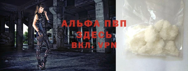 крисы Абаза