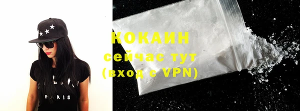 крисы Абаза
