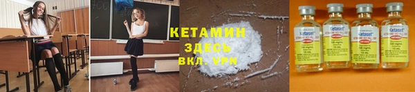 крисы Абаза