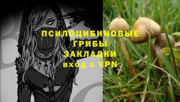 крисы Абаза