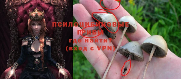 дурь Абинск