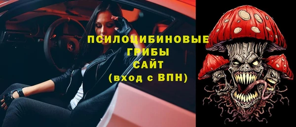 крисы Абаза