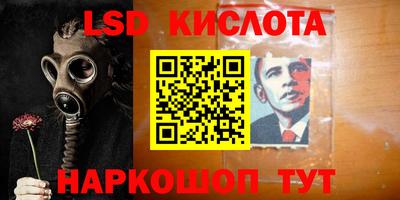 прущие грибы Гусиноозёрск