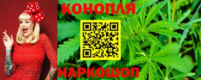 прущие грибы Гусиноозёрск