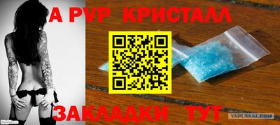 прущие грибы Гусиноозёрск